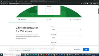 Basic points to download chrome msi on pc  Download Google Chrome Offline msi file 2023 on pc [upl. by Eanram]