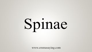 How To Say Spinae [upl. by Latsyrhk]