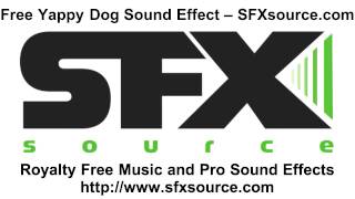 Free Yappy Dog Sound Effect  SFXsourcecom [upl. by Gothard]