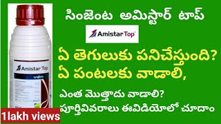 amistar top syngenta fungicide full details in telugu  BB agriculture telugu [upl. by Delmer]