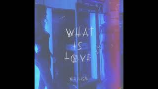 NIHILISM  WHAT IS LOVE Early Versions [upl. by Dedric66]