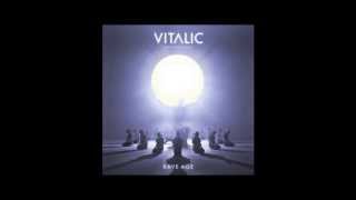 VITALIC  STAMINA  RAVE AGE HQ  LYRICS quot22quot [upl. by Aneehsit]