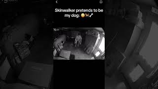 Skinwalker Pretends to be Dog [upl. by Rohclem]