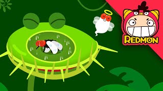 Venus Fly Trap Song  Animal songs  Nursery Rhymes  REDMON [upl. by Teirrah563]