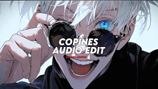 copines Aya Nakamura  audio edit slowed  reverb [upl. by Akirehc]