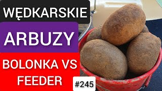 245 WĘDKARSKIE ARBUZY  BOLONKA VS FEEDER 😀 [upl. by Mode]