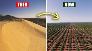 How Australia is Regreening its Deserts Back into a Green Oasis [upl. by Heurlin131]