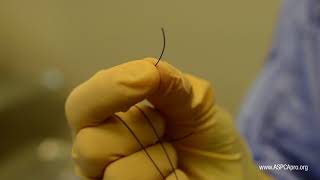 SpayNeuter Surgery Obtaining Suture and Threading a Needle [upl. by Nina]