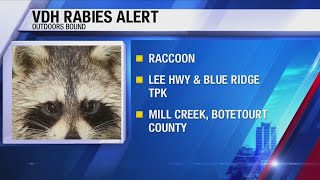 Outdoors Bound Wildlife Rabies Alert [upl. by Atsilac]