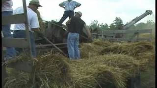 Cutting amp Threshing Wheat at Darke County Steam Threshers  2005 [upl. by Sokul]