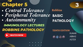 Central And Peripheral Tolerance Autoimmunity and Autoimmune Diseases Robbins Chapter 5 Lecture 3 [upl. by Bambie905]