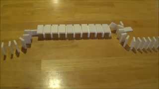 60 Domino TRICKS [upl. by Rozalie]