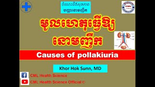 មូលហេតុធ្វើឱ្យនោមញឹកCauses of pollakiuria l CML Health Science Official [upl. by Bate]