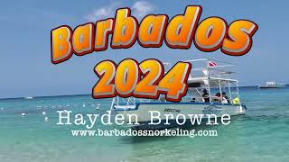 Barbados Snorkeling 2024 [upl. by Tarabar]