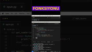 Python Dersleri  Dogru sekilde main fonksiyonunu cagirmak [upl. by Atineb709]