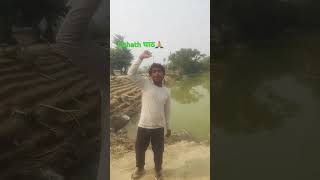 Bina shadi ke  chhath ghath 🙏🙏viwes trending🙏🙏 viral  reels [upl. by Salem]