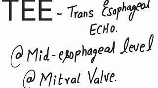 TEE MID ESOPHAGEAL LEVEL  FOCUSING ON MITRAL VALVE [upl. by Olaznog106]