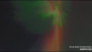 Level 4 quotSeverequot Geomagnetic Storm Exploreorg October 10 2024 [upl. by Ainet313]