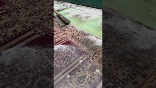 carpetcleaning carpet asmr satisfying kashmir Contact us on 7889928960 [upl. by Mar]