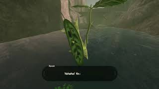 Korok seeds  Lake of the Horse God  Lake Tower 80  Zelda BOTW [upl. by Ynohtnael]