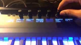 Komplete Kontrol S49 hands on review [upl. by Lerad796]