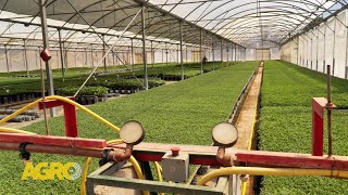 Fitotec Vivero tecno que produce 100 millones de plantines en San Juan 1110 20241116 [upl. by Coh]