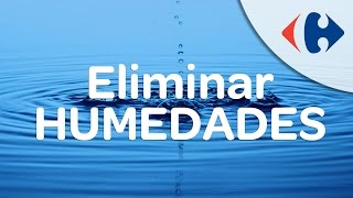 ¿Cómo eliminar las humedades en casa [upl. by Blackwell]