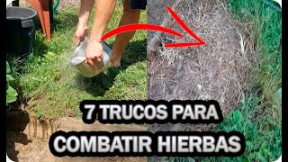 👉7 Formas RAPIDAS y EFICACES De Acabar Con MALAS HIERBAS En El Huerto O Jardín [upl. by Amandie603]