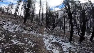 Checking out Grandjean after the Wapiti Fire scorched this landscape [upl. by Alrahs885]