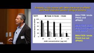 Molecular factors mediating immunity targeting PolyNAcetyl Glucosamine [upl. by Tiffanie977]