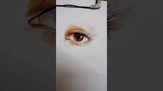 Try out Derwent lightfast pencil color art pencils drawing review viral [upl. by Ditmore923]