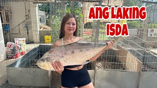 Nag ihaw ako Malaking Isda [upl. by Ellerret762]