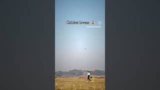 lovecricket cricket songcricketsri lanka cricket songsongcricket abc song 🙏👍🥷🥷 [upl. by Mavra237]