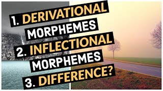 Derivational Morphemes  Inflectional Morphemes  Difference Between The Two  Lec39  UrduHindi [upl. by Ellerahs687]