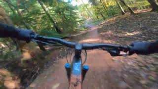 Forest of Dean Verderers FULL DESCENT RUN [upl. by Yesmar]