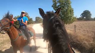 Riding in Tuscany Day 1  Come ride horses with me in Tuscany Italy [upl. by Naesad44]