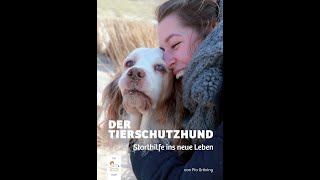 Hundegeschirr anziehen  KurzVisualisierung einer Buchanleitung [upl. by Andrus]