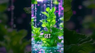 Discover the quirky truth about hydroponics Hydroponics PlantScience FunFact [upl. by Idihsar420]