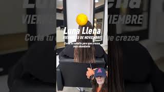 Corte de pelo cortedecabello [upl. by Haibot934]