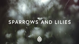 Pat Barrett  Sparrows And Lilies Lyrics [upl. by Countess]