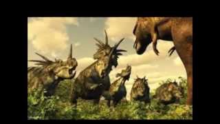 Top 10 Largest Ceratopsians [upl. by Nortad318]