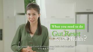 BodyKey Gut Reset Weight Management Programme [upl. by Aved]