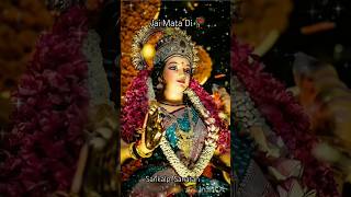 Teri Jai Jaikar Maiya durgapuja matarani bhaktisong trending viralvideo shortsvideo durga [upl. by Crow]