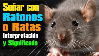 Todo sobre Soñar con Ratas y Ratones  Que significa este sueño con ratón o rata  Interpretación [upl. by Atiluap]