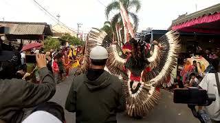 Atraksi Dayak di Depan Panggung Kehormatan Karnaval Sumberingin Kulon Ngunut Tulungagung youtube [upl. by Mcbride]