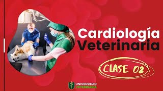 CARDIOLOGÍA VETERINARIA  CLASE 02 [upl. by Stella]