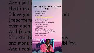 Akon  Sorry Blame It On Me Lyrics shorts [upl. by Rye]