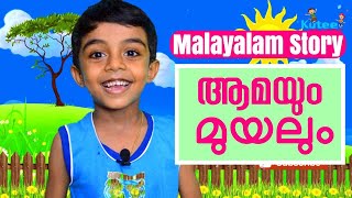 Malayalam Story  Amayum Muyalum  ആമയും മുയലും  മലയാളം കഥ [upl. by Yevre24]