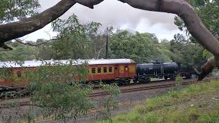 5917 hauling 9S41 through Jannali 12 May 2024 [upl. by Luy797]