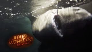 Jeremy Handles a Monstrous Greenland Shark  SHARK  River Monsters [upl. by Radbun]